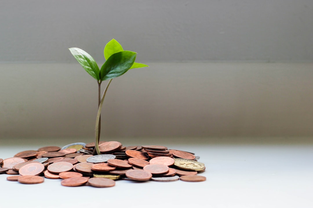 Sustainable Investment Masterclass